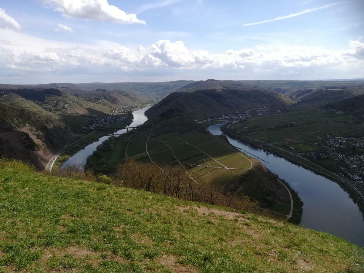 Mosel Dream *